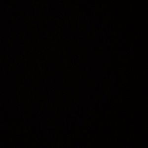 Meet your Posher, Arlynn